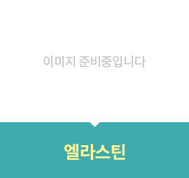 엘라스틴