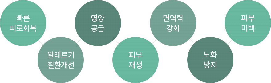 빠른 피로회복, 알레르기질환개선, 영양공급, 피부재생, 면역력 강화, 노화방지, 피부미백